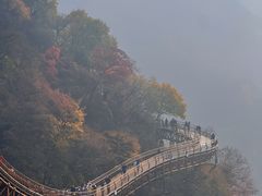 -少华山国家森林公园