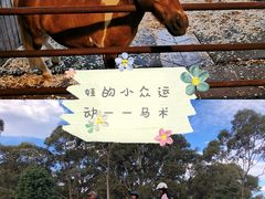 -松声马术俱乐部