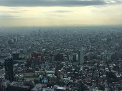 -东京都厅舍