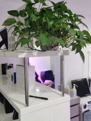 -熙朵美学植发·连锁品牌