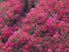 -木兰云雾山