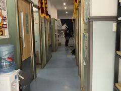 -伟伟宠物医院·瑞派猫友好医院·猫科(光谷店)