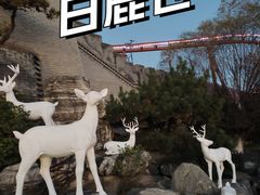 -白鹿原·白鹿仓