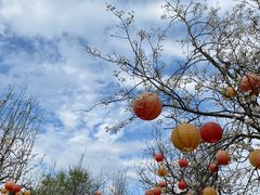 -黄龙溪欢乐田园