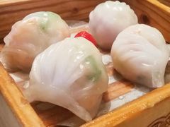 悦满楼虾饺皇-悦满楼·西关名点·湛江名菜(航空综合大厦店)