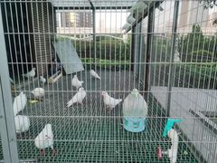 -烟台南站