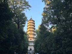 -灵谷景区