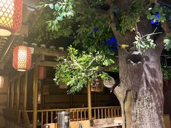-老凯俚酸汤鱼(多彩城店)