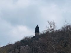 -高尔山公园