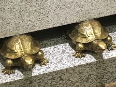 -英子补身汤(海兰路店)