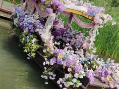 -溱湖国家湿地公园