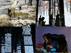 -中国湿地博物馆