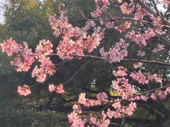 -乌山风景区