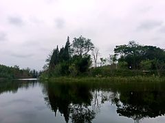 -黄海国家森林公园