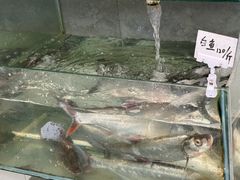 -旺山·浪头人家