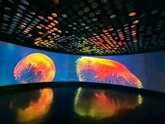 -同济大学四平路校区深海探索馆