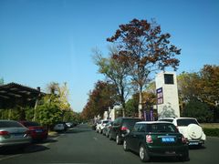 -西溪天堂商业街-停车场