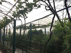 -美家乐农庄·露营·团建(大治路店)