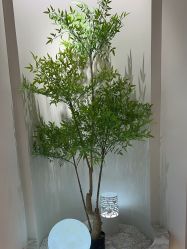-VE小颜皮肤管理&科学美肤中心