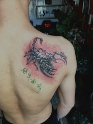 点击看大图 -针牛刺客·刺青纹身