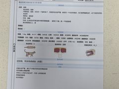 -全心全意动物诊疗中心医院(北苑店)