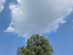 -武昌江滩