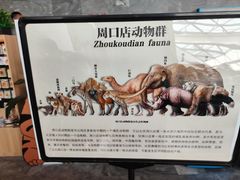 -北京周口店北京人遗址博物馆