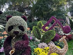 -杭州植物园