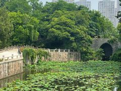 -水绘园