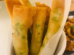 臭豆腐春卷-佬肥猫(国华广场店)