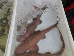 -拉威海鲜市场
