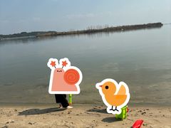 -柳湖沙月沙滩公园