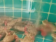 -锅老头铁锅炖•大锅蒸汽海鲜(韩乐坊店)