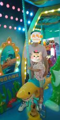 -宝贝王(天津滨海店)