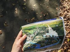 -南宁良凤江国家森林公园