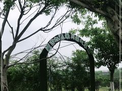 -川南大草原