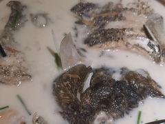 -耕渔小院·湖南鱼鲜(望城店)