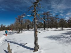 -秦岭风景区