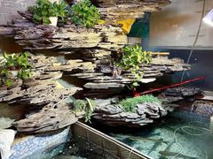 -山水茶艺馆·点心粤菜·30年老字号