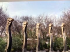 -麦当劳(济泺路店)