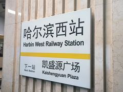 -哈尔滨西站(地铁站)