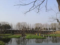 -洋湖国家湿地公园