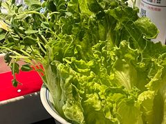 豌豆苗-大隐·成都火锅Bistro(合生麒麟新天地店)