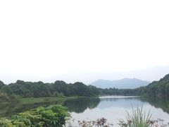 -福建鲤鱼洲酒店