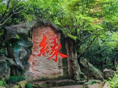 -杭州黄龙洞