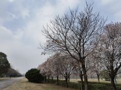 -汉景帝阳陵博物院