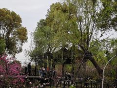 -南汇桃花村