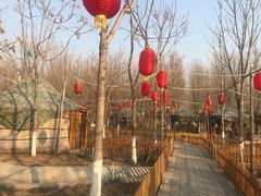 -草根堂农场