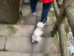 -牛背梁国家森林公园