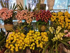 -双季花艺园艺市场(浦东店)